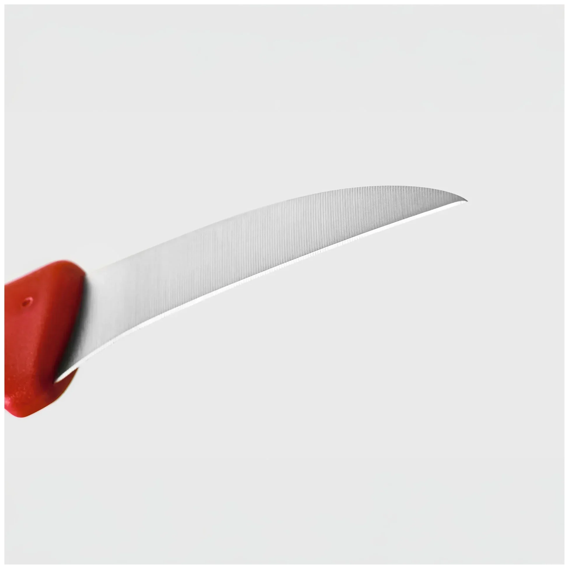 WÜSTHOF Nóż do oczkowania CREATE COLLECTION czerwony 6 cm