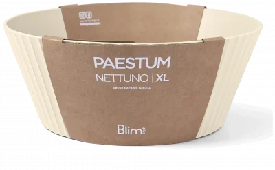 NETTUNO Misa 30 cm cukier trzcinowy / BLIM PLUS