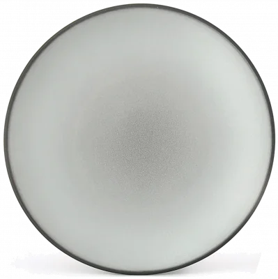 EQUINOXE Talerz płaski 31,5 cm szary / REVOL