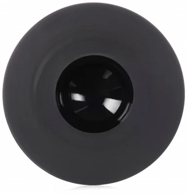 SPHERE Talerz 30,3 cm Black ink / REVOL