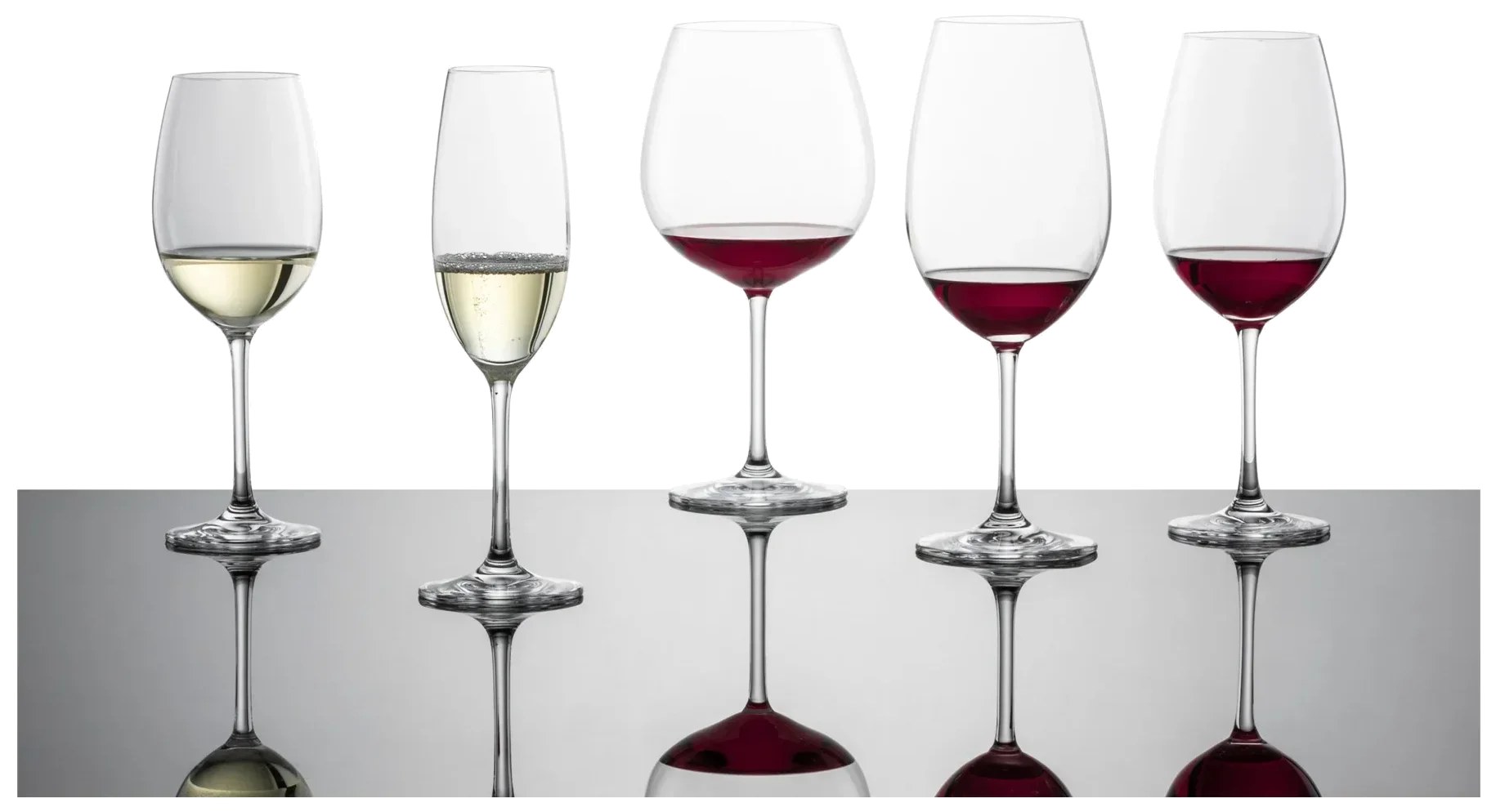 IVENTO Kieliszek do szampana 228 ml, kpl. 6 szt. / SCHOTT ZWIESEL