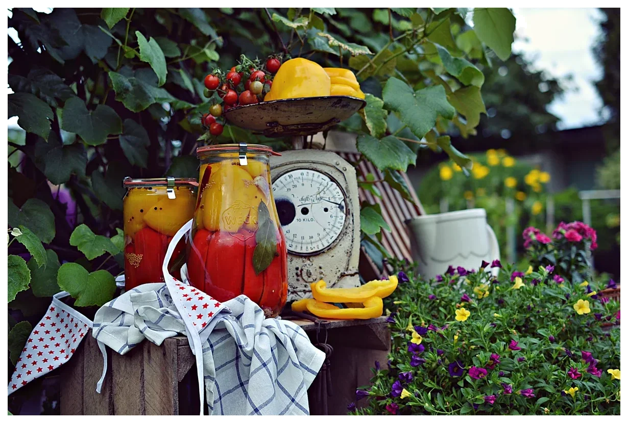 Słoik TULIP z pokrywką 2700 ml op. 4 szt. / WECK