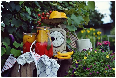 Słoik TULIP z pokrywką 2700 ml op. 4 szt. / WECK